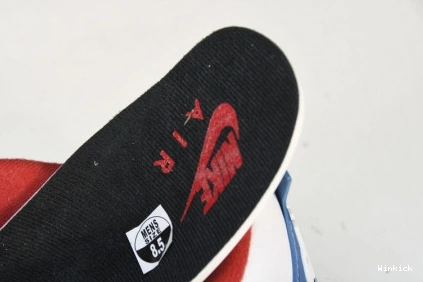 4' 'WHAT THE JORDAN RETRO AIR CI1184-146 SE 4 0708